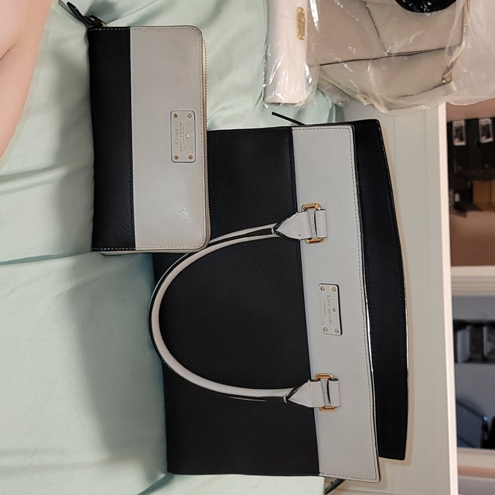 Kate Spade Purse And Wallet